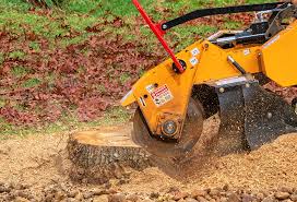 Best Aeration Services  in Huron, OH