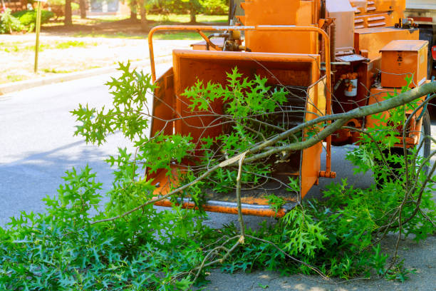 Best Seasonal Cleanup (Spring/Fall)  in Huron, OH