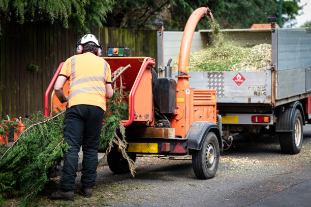 Best Weed Control  in Huron, OH