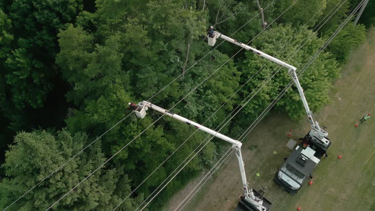 Best Hedge Trimming  in Huron, OH