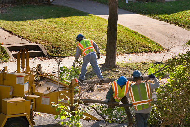 Best Emergency Tree Removal  in Huron, OH