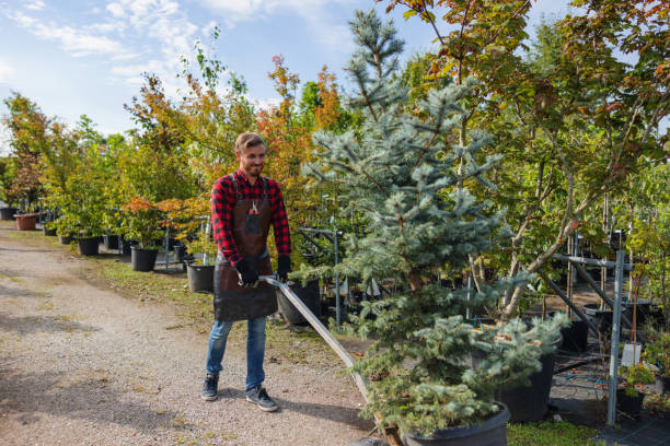 Best Tree Preservation Services  in Huron, OH